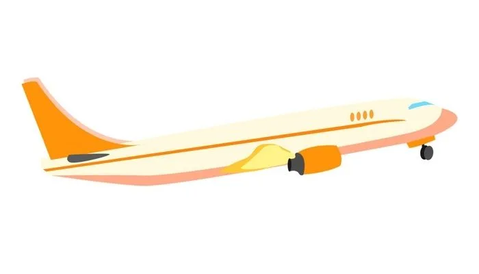 «Деловые линии» запустили авиаперевозки из Азии